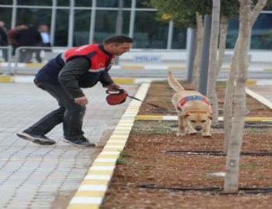 Kızıltepe’de Erdoğan’a Kürtçe Afişli Karşılama
