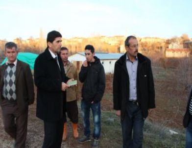 Hayvancılık Projesi Göçü Durduracak