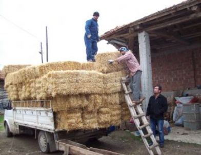 'sakla Samanı Gelir Zamanı' Ata Sözü Gerçek Oldu