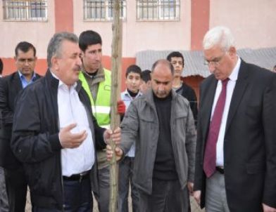 Siirt Belediyesi'nden Ağaç Dikim Çalışmaları