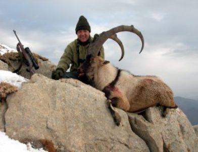 Yabancı Avcılar, Av Ücreti Karşılığında Dağ Keçisi Avlıyor