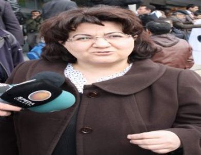 Bdp’li Emine Ayna, İmralı’ya Gidecek İsimleri Değerlendirdi