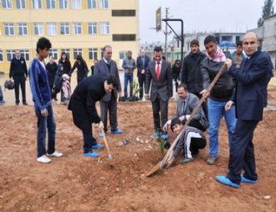 Akçakale'de 126 Bin Fidan Dikildi