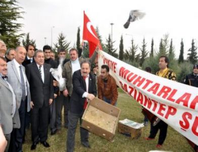 İçişleri Bakanı Güler, Güvercinlerle Karşılandı