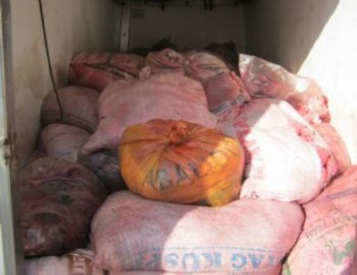 Göksun’da Kaçak Et Operasyonu