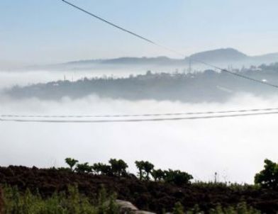 Trabzon'da Uçak Seferleri İptal Edildi