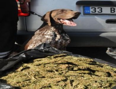 Uyuşturucu Operasyonu Kamerada