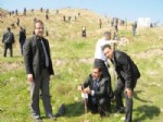 İBRAHIM GÜRBÜZ - Cizre Adliyesi 4 Bin Fidanı Toprakla Buluşturdu