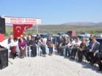 KARAVAN - Sokak Hayvanlarına Modern Barınak