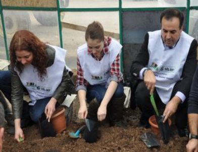 Gölbaşı Tapu Müdürlüğü 500 Meşe Palamudu Tüpledi