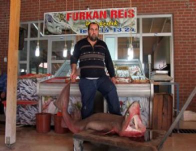 Silifke’de 4 Metrelik Köpekbalığı Yakalandı