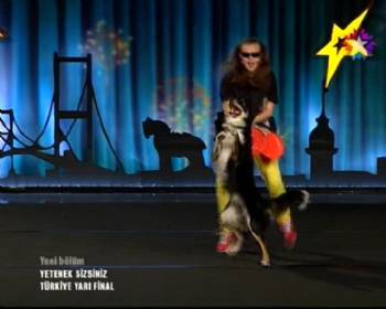 Yetenek Sizsiniz Türkiye'de sevimli köpek Cash'ten Gangnam Style dansı