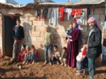 BANARLı - 10 Çocuklu Aile Barakada Yaşıyor