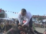 ÇAYLı - Deve Sırtında Arenayı Turlamak İsteyen Belediye Başkanı Deveden Düştü
