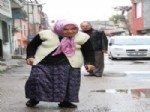 GÜLBEYAZ - Felçli Kadın 52 Yıl Sonra Yürüdü