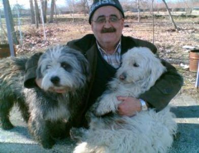 35 Yıllık Memurun Köpek Yüzünden Lojmandan Çıkarıldığı İddia Edildi