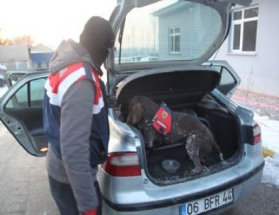 Jandarma ve Polisten Ortak Uyuşturucu Operasyonu