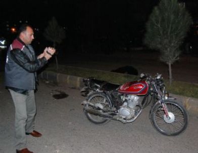 Gaziantep'te İki Ayrı Kazada, 3 Kişi Öldü 2 Kişi Yaralandı