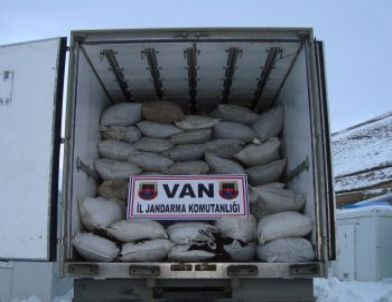 Van’da Kaçakçılık