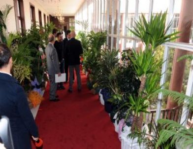 Bakanlık Binası, Botanik Bahçesine Döndü