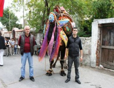 Güreş Öncesinde Deve Sucukları Beğeniye Sunuldu