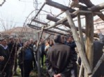 SÜTLÜCE - Malatya’da Üreticilere Ağaç Budama Kursu
