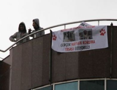 Hayvanseverlerden Karnavalı Andıran Protesto