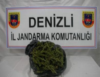 Jandarmadan Esrar Operasyonu