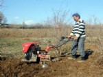 Sincik’te Bağ ve Bahçeler Çapa Motoru İle Sürülüyor