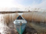 YEŞILDAĞ - Beyşehir Gölü’nde Su Ürünleri Av Yasağı 15 Mart’ta Başlıyor