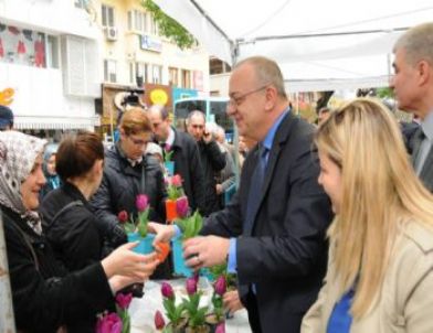 Manisa’da Lale Haftası Başladı