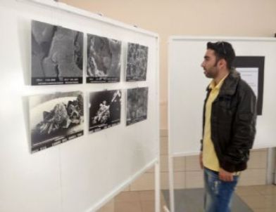 Mikroskopla Çekilen Görüntülerden Sergi Açıldı