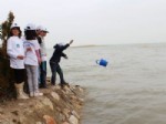 MUSTAFA BULUT - Beyşehir Gölü’nün Yağ Balığı Araştırılıyor