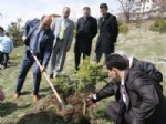 Yozgat’ta Hakim ve Savcılar Fidan Dikti