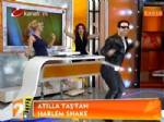 HARLEM SHAKE - Atilla Taş canlı yayında Harlem Shake dansı yaptı