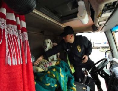 Jandarma Ekipleri Tır'la Getirilen Esrarı Yakaladı