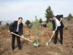 İSTANBUL YOLU - Sağlık Çalışanları Fidan Dikti