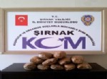Şırnak’ta Kaçakçılık Operasyonu