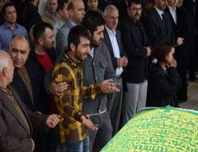 Adliye Önünde Silahlı Saldırıda Ölen Dedekurt Kardeşlerin Yürek Burkan Hikayesi