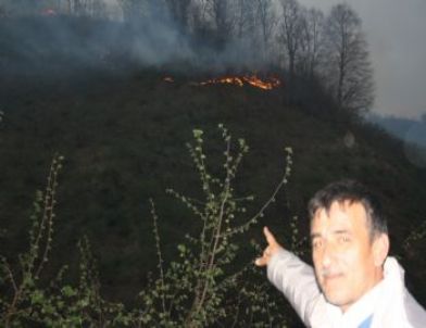 Giresun’da Orman Yangını