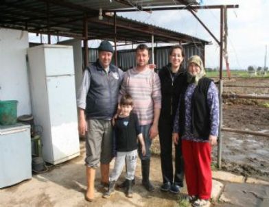 Üçüz Doğuran İnek Şaşırttı