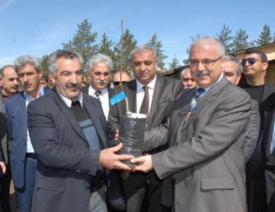 Bingöl’de Ceviz Fidanı Dağıtımı