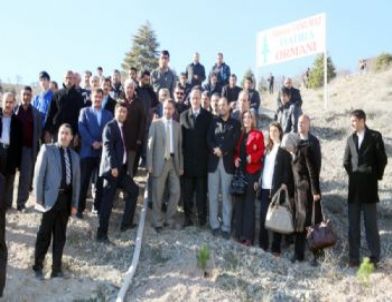 Elazığ'da Hamza Yanılmaz Hatıra Ormanı Oluşturuldu