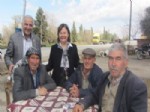 Köylü Hayvanlarına Saman Alamıyor