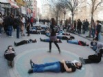 Üniversite Öğrencileri Cadde Üzerinde Yattı