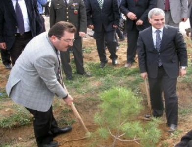 Adalet Mensupları ve Mahkumlar Fidan Dikti