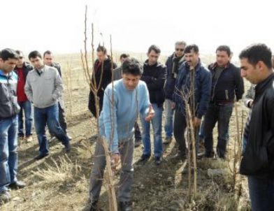 Tarım Elemanlarına Uygulamalı Eğitim