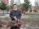 Yozgat’ta 40 Bin Bağ Çubuğu Fidanı Dağıtıldı
