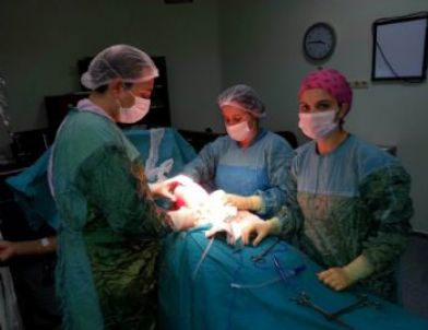 Karın Ağrısı İle Gitti, Karnından 2.5 Kg’lık Kitle Çıktı