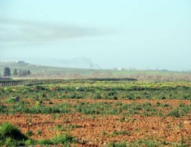 Rasulayn Yine Bombalandı